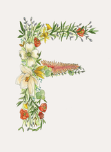 Load image into Gallery viewer, Stationery Set - 8 Folded Cards