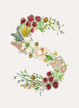 Load image into Gallery viewer, Stationery Set - 8 Folded Cards
